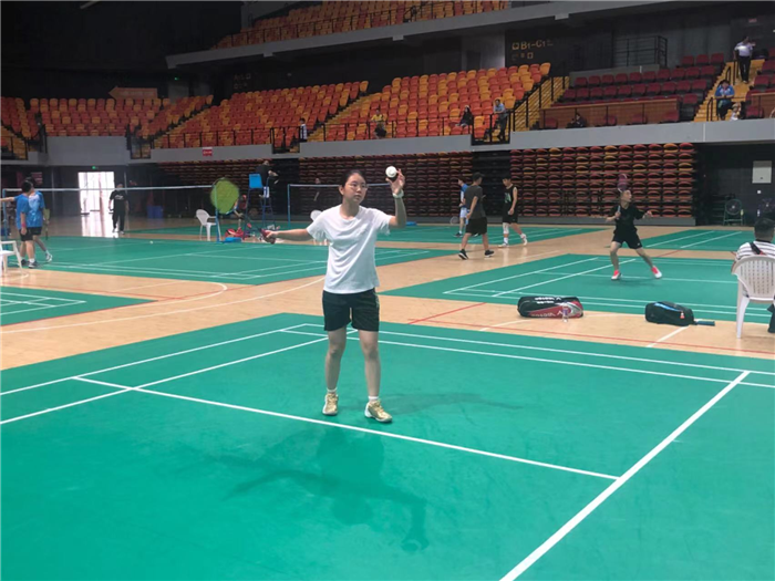 法国羽毛球队碾压韩国羽毛球队，陶菲克制霸全场的简单介绍