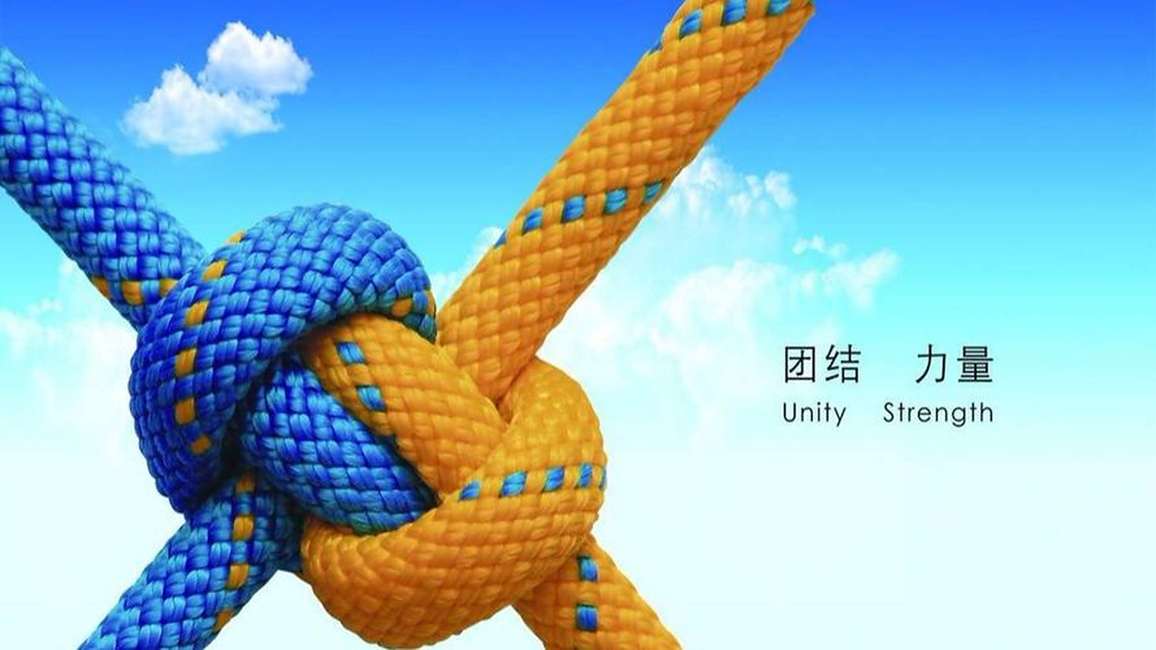 关于凭借团队合作，战胜对手实现胜利的信息